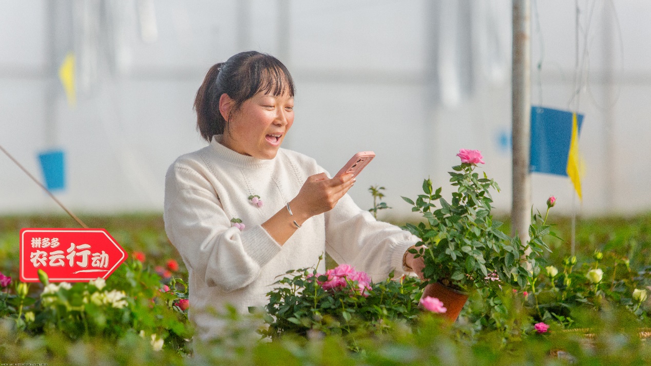 盛煌登录：拼多多发布2022 Q4及全年业绩报告：第四季度营收398亿，消费市场持续回暖